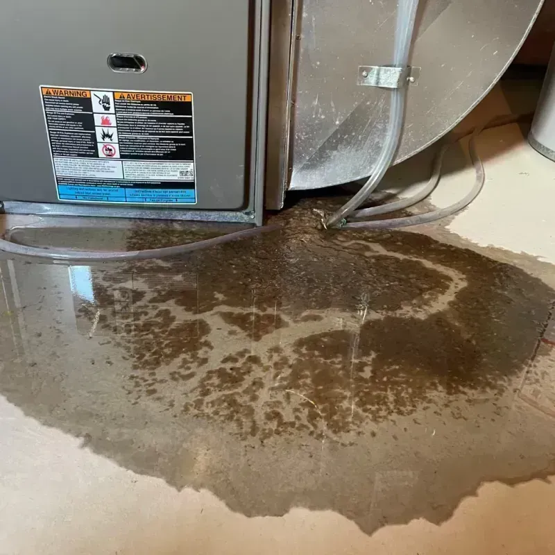 Appliance Leak Cleanup in Webster Groves, MO